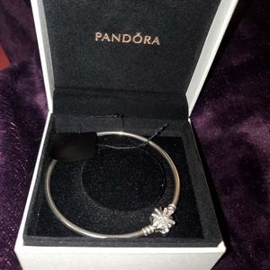 Pandora bangle